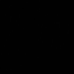 Meet your Posher, Brynn